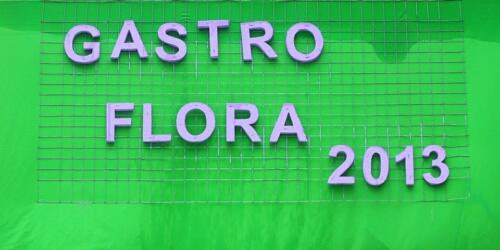 Gastro flora 2013